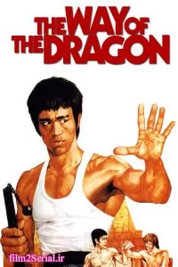 دانلود فیلم راه اژدها The Way of the Dragon 1972 دوبله فارسی