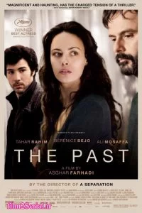 دانلود فیلم گذشته The Past 2013 با دوبله فارسی