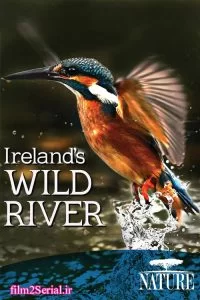 دانلود مستند رودخانه وحشی ایرلند 2014 Nature Ireland’s Wild River با دوبله فارسی