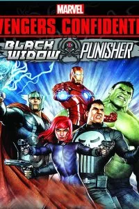 دانلود انیمیشن عملیات محرمانه انتقام‌جویان: ملکه سیاه و مجازاتگر 2014 Avengers Confidential: Black Widow & Punisher با دوبله فارسی