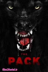 دانلود فیلم گله 2015 The Pack با دوبله فارسی