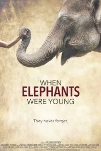 دانلود مستند وقتی فیل ها جوان بودند When Elephants Were Young 2016