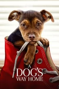 دانلود فیلم مسیر بازگشت یک سگ به خانه A Dog’s Way Home 2019