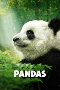 دانلود مستند پاناداها Pandas 2018 با دوبله فارسی