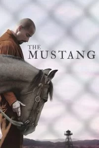 دانلود فیلم موستانگ The Mustang 2019 با دوبله فارسی