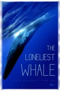 دانلود مستند تنهاترین نهنگ: در جستجوی نهنگ ۵۲ The Loneliest Whale: The Search for 52 2021