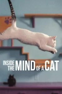 دانلود مستند درون ذهن یک گربه Inside the Mind of a Cat 2022