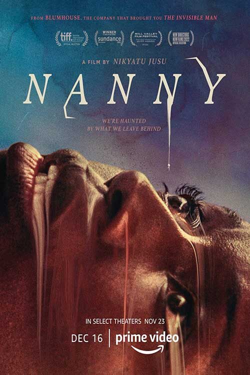 دانلود فیلم پرستار بچه Nanny 2022 زیرنویس فارسی چسبیده