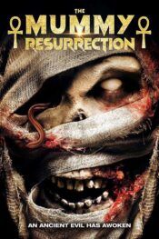 دانلود فیلم مومیایی - رستاخیز The Mummy - Resurrection 2022 زیرنویس فارسی چسبیده