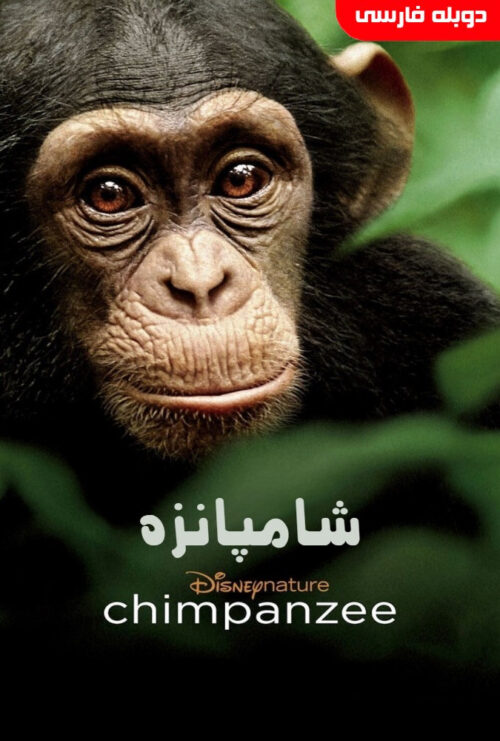 دانلود فیلم شامپانزه Chimpanzee 2012 دوبله فارسی