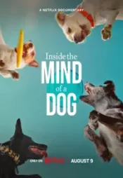 دانلود فیلم درون ذهن یک سگ Inside the Mind of a Dog 2024 زیرنویس فارسی چسبیده