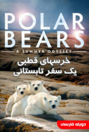 دانلود فیلم خرسهای قطبی : یک سفر تابستانی Polar Bears : A Summer Odyssey 2012 دوبله فارسی