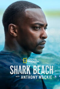 دانلود فیلم ساحل کوسه با آنتونی مکی Shark Beach with Anthony Mackie 2024 دوبله فارسی