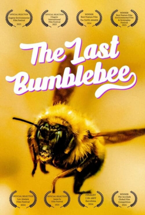 دانلود فیلم آخرین زنبور عسل The Last Bumblebee 2024 زیرنویس فارسی چسبیده